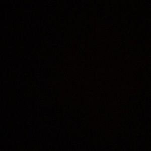 Meet your Posher, Dwaina